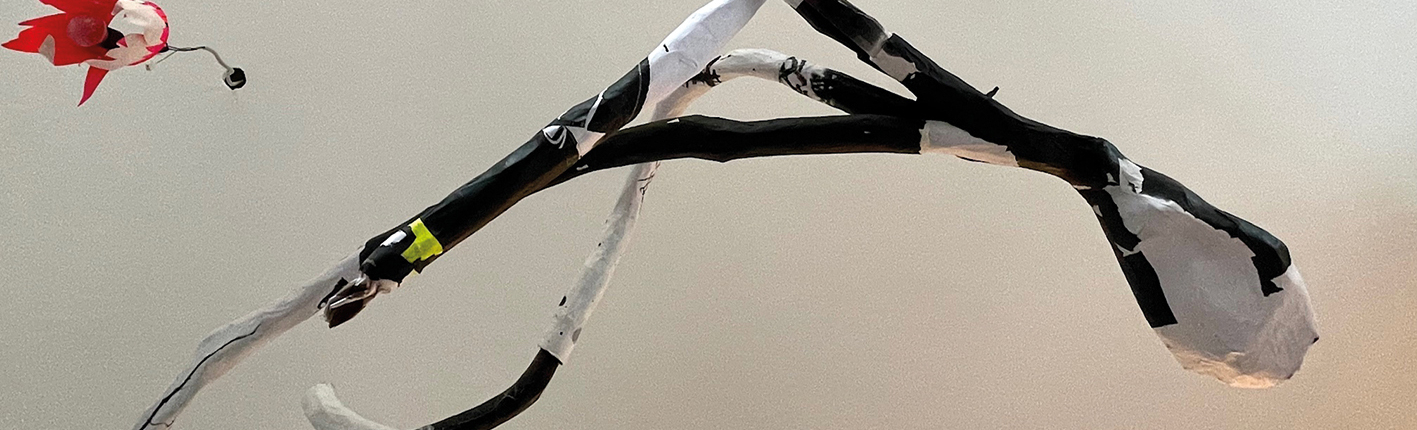 RalfMuenzIMG_3574-2-header